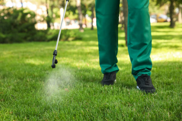 Best Flea Control Services  in Duarte, CA