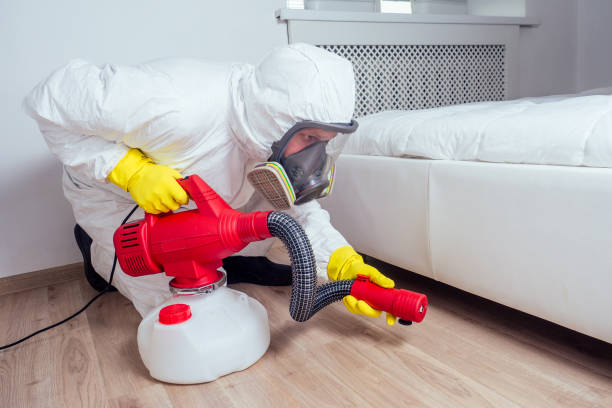 Best Best Pest Control Companies  in Duarte, CA