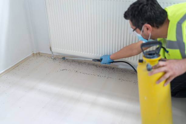 Best Best Pest Control Companies  in Duarte, CA